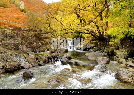 Acque selvagge di Stonethwaite Beck, un piccolo fiume formato alla confluenza di Langstrath Beck e Greenup Gill sotto Eagle Crag. Esplorare bello n Foto Stock