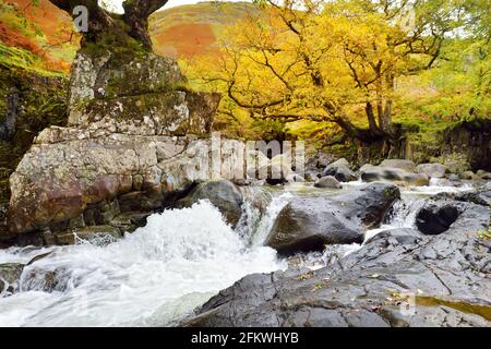 Acque selvagge di Stonethwaite Beck, un piccolo fiume formato alla confluenza di Langstrath Beck e Greenup Gill sotto Eagle Crag. Esplorare bello n Foto Stock