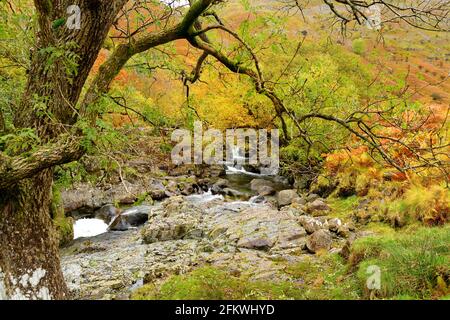 Acque selvagge di Stonethwaite Beck, un piccolo fiume formato alla confluenza di Langstrath Beck e Greenup Gill sotto Eagle Crag. Esplorare bello n Foto Stock