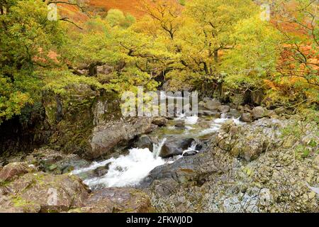 Acque selvagge di Stonethwaite Beck, un piccolo fiume formato alla confluenza di Langstrath Beck e Greenup Gill sotto Eagle Crag. Esplorare bello n Foto Stock