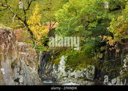 Acque selvagge di Stonethwaite Beck, un piccolo fiume formato alla confluenza di Langstrath Beck e Greenup Gill sotto Eagle Crag. Esplorare bello n Foto Stock