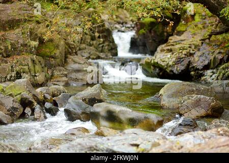 Acque selvagge di Stonethwaite Beck, un piccolo fiume formato alla confluenza di Langstrath Beck e Greenup Gill sotto Eagle Crag. Esplorare bello n Foto Stock