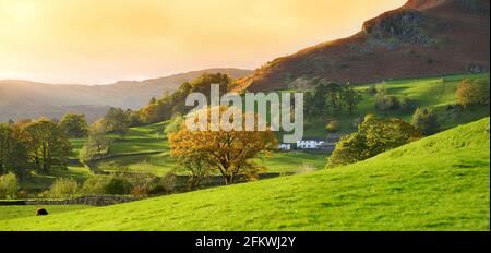 Infiniti pascoli lussureggianti e terreni agricoli dell'Inghilterra. Bella campagna inglese con campi e prati verde smeraldo. Paesaggio rurale al tramonto. Foto Stock