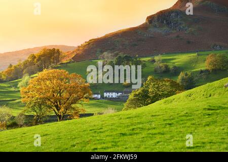Infiniti pascoli lussureggianti e terreni agricoli dell'Inghilterra. Bella campagna inglese con campi e prati verde smeraldo. Paesaggio rurale al tramonto. Foto Stock