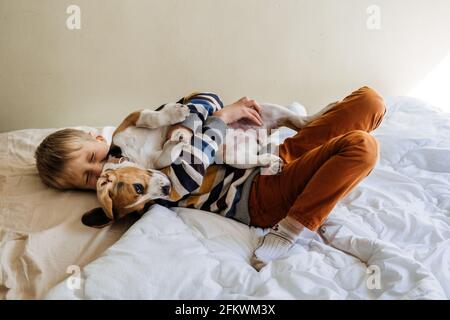 Razze di cane migliori per i capretti, cani di buona famiglia. Presentazione dei cuccioli e dei bambini. Simpatico cucciolo di Beagle e ragazzo che gioca a letto a casa Foto Stock