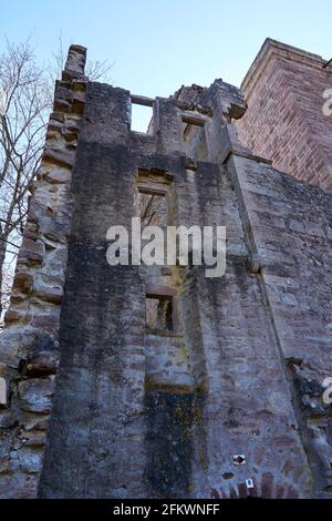 Rovine di un castello in cima a una collina chiamato Zavelstein a Bad Zavelstein, Germania Foto Stock