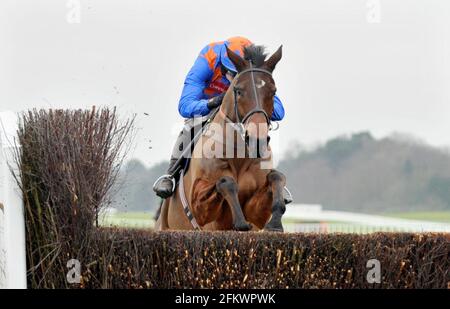 THE VICTOR CHANDLER CHASE ALL'ASCOT. 23/1/10. IL VINCITORE RUBY WALSH SU TWIST MAGIC (A DESTRA) ARRIVA OLTRE L'ULTIMO. IMMAGINE DAVID ASHDOWN Foto Stock