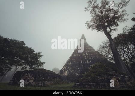 Tikal Templi nella mattina presto, Guatemala, post processato usando il bracketing di esposizione Foto Stock