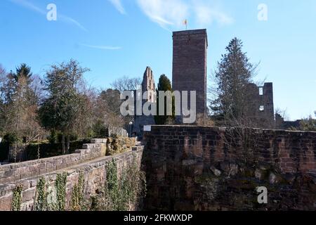 Rovine di un castello in cima a una collina chiamato Zavelstein a Bad Zavelstein, Germania Foto Stock