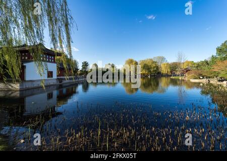 Pagoda cinese vicino al lago. Paesaggio primaverile. Foto Stock