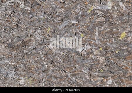 Pannello a trefolo orientato pannello in legno lavorato sfondo o struttura, strati compressi di scaglie di legno Foto Stock