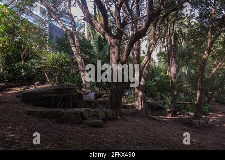 Wendy Whiteley's Secret Garden sulla riva nord inferiore del porto di Sydney. E' aperto al pubblico per passeggiate, picnic e vedute generali del porto. Wend Foto Stock