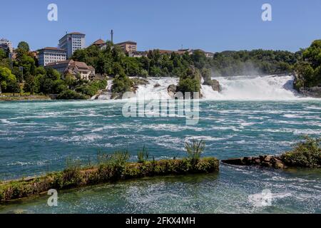 Cascate del Reno vicino a Sciaffusa, Svizzera Foto Stock