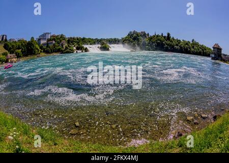 Cascate del Reno vicino a Sciaffusa, Svizzera Foto Stock