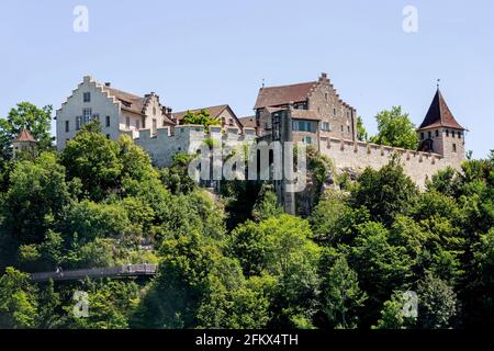 Castello Laufen, Cascate del Reno vicino a Schaffhausen, Svizzera Foto Stock