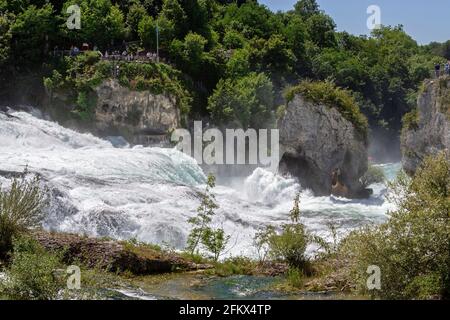 Cascate del Reno vicino a Sciaffusa, Svizzera Foto Stock