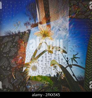 Composizione astratta con finestra, sole e fiori. Disegno a mano e fotografia di arte di mezzi misti. Foto Stock