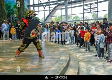 Fuyang, Cina. 04 maggio 2021. Durante la festa del giorno di maggio, gli artisti folk eseguono l'opera di Sichuan che cambia faccia per i turisti nel parco ecologico di Fuyang. Credit: SOPA Images Limited/Alamy Live News Foto Stock