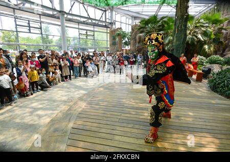 Fuyang, Cina. 04 maggio 2021. Durante la festa del giorno di maggio, gli artisti folk eseguono l'opera di Sichuan che cambia faccia per i turisti nel parco ecologico di Fuyang. Credit: SOPA Images Limited/Alamy Live News Foto Stock