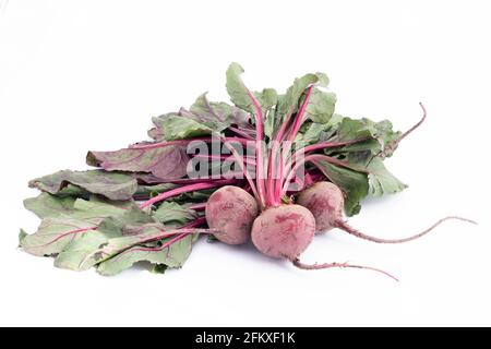 Barbabietola Desi Chukandar con foglie verdi è consumato come insalata o succo. Ricca fonte di ferro e fibra rafforza fegato e aiuta a recuperare dal ferro D Foto Stock