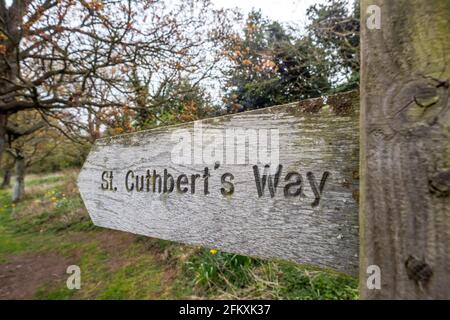 Northumberland, 28 aprile 2021: Cartello per St Cuthbert's Way sulle Cheviot Hills nel Northumberland Foto Stock