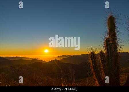 Tramonto drammatico nel deserto di Atacama: Cielo colorato e Cactus in primo piano - Andacollo, Cile Foto Stock