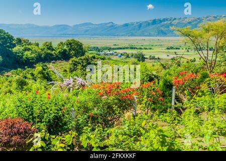 Giardino di vigneti Red Mountain Estate vicino lago Inle, Myanmar Foto Stock