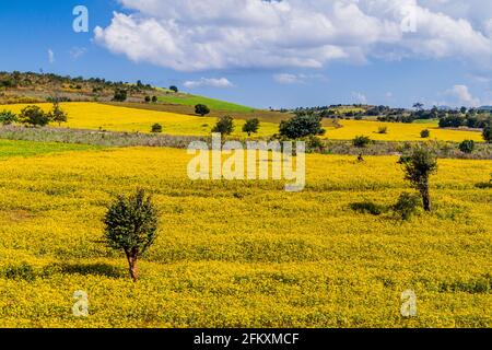 Paesaggio rurale vicino Hsipaw, Myanmar Foto Stock