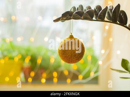 Palla decorativa di Natale con paillettes d'oro appesa alla pianta Foto Stock