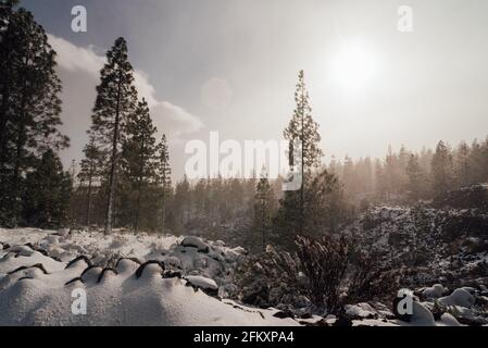 Finestra vista montagna foresta neve Isole Canarie tempesta Foto Stock