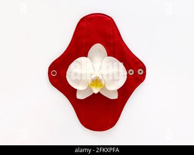 assorbente igienico riutilizzabile, concetto di mestruazione eco, orchidea bianca Foto Stock