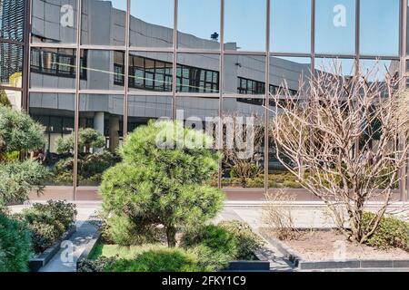 Sochi, Russia - 8 marzo 2020: Il cortile dell'aeroporto della città di Sochi. Piante sullo sfondo di un edificio che si riflette nel vetro. Foto Stock