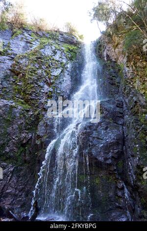 Immagine verticale della cascata di Burgbach nella Foresta Nera, Germania Foto Stock