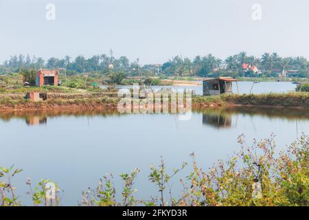 Campagna vietnamita rurale paesaggio lungo un fiume vicino al villaggio di tra Que fuori Hoi An, Vietnam. Foto Stock