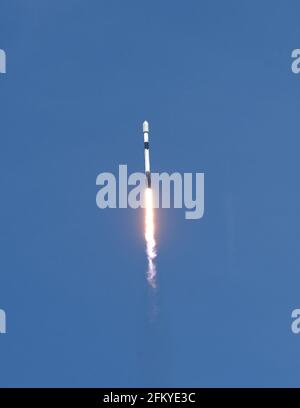 Merrit Island, Stati Uniti. 04 maggio 2021. Un razzo SpaceX Falcon 9 si dirige in orbita dopo il sollevamento dal pad 39A al Kennedy Space Center che trasporta il 26esimo lotto di 60 satelliti come parte della rete internet a banda larga Starlink di SpaceX. Credit: SOPA Images Limited/Alamy Live News Foto Stock
