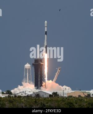Merrit Island, Stati Uniti. 04 maggio 2021. Un razzo SpaceX Falcon 9 si solleva dal pad 39A al Kennedy Space Center portando il 26esimo lotto di 60 satelliti come parte della rete internet a banda larga Starlink di SpaceX. Credit: SOPA Images Limited/Alamy Live News Foto Stock