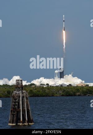 Merrit Island, Stati Uniti. 04 maggio 2021. Un razzo SpaceX Falcon 9 si solleva dal pad 39A al Kennedy Space Center portando il 26esimo lotto di 60 satelliti come parte della rete internet a banda larga Starlink di SpaceX. (Foto di Paul Hennessy/SOPA Images/Sipa USA) Credit: Sipa USA/Alamy Live News Foto Stock