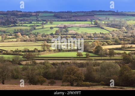 Campagna inglese paesaggio autunnale con un mosaico di campi, alberi e siepi bisecati da un fiume. Cotswolds, Gloucestershire, Inghilterra, Regno Unito Foto Stock
