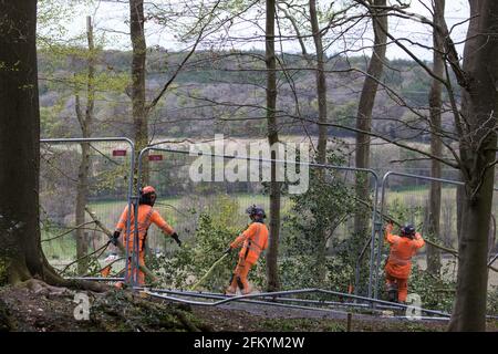 Wendover, Regno Unito. 4 maggio 2021. I chirurghi dell'albero che lavorano per conto di HS2 Ltd chiarono i boschi antichi a Jones Hill Wood nel Chilterns AONB per il collegamento ferroviario ad alta velocità HS2. Abbattimento del bosco, che contiene luoghi di riposo e/o di allevamento di pipistrelle, barbastelle, noctule, bruni a long-heared e pipistrelle di natterer e si dice che abbia ispirato il fantastico signor Fox di Roald Dahl, riproposto dopo che un giudice dell'alta Corte ha rifiutato una domanda di riesame giudiziario e ha revocato un'ingiunzione. Credit: Mark Kerrison/Alamy Live News Foto Stock