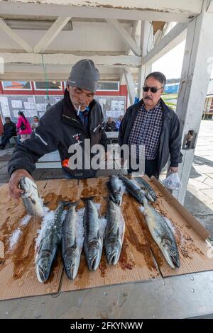 I giorni di catture fresche in mostra per la vendita nel villaggio Greenlandic di Qaqortoq, ex Julianehåb, Groenlandia. Foto Stock