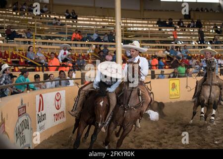 Un charro mette in mostra le sue abilità nell'emozionante evento del cavallo da corsa al concorso Charreada di Tlajomulco de Zuniga, Jalisco, Messico. Foto Stock