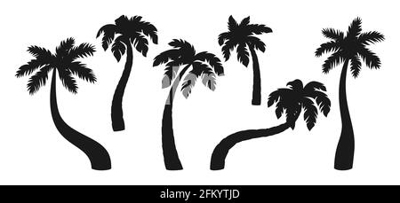 Set di cartoni animati con palme da cocco e silhouette nera. Elemento di design con palme tropicali. Albero disegnato a mano con foglie, piante mature e giovani di foresta tropicale. Isolato su illustrazione vettoriale bianca Illustrazione Vettoriale