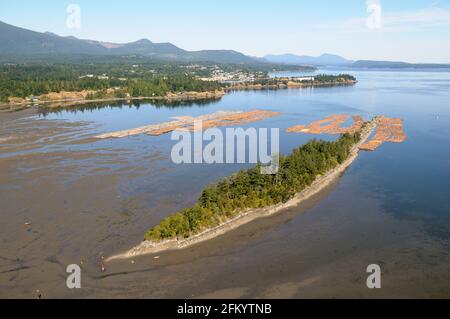 I bracci di tronchi immagazzinati nelle isole Shoal, l'estuario del fiume Chemainus, la valle di Chemainus. Fotografia aerea dell'isola di Vancouver, British Columbia, Canada. Foto Stock