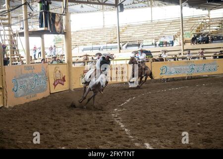 Un charro mette in mostra le sue abilità nell'emozionante evento del cavallo da corsa al concorso Charreada di Tlajomulco de Zuniga, Jalisco, Messico. Foto Stock