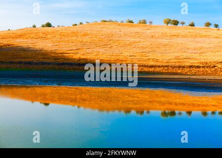 Collina con erba secca sulla riva . Estate natura riflessione in acqua lago Foto Stock