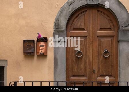 Bella porta d'ingresso. Una porta molto antica a una delle case millenari di Barga. Porta con cassette postali in ottone. Foto Stock