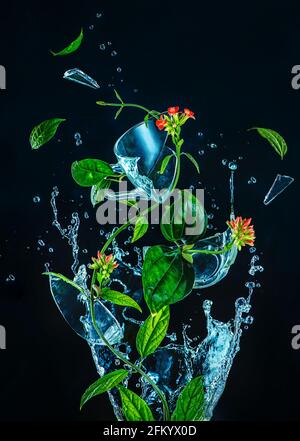 Viti verdi e foglie con coppa di vetro rotta in acqua, primavera ora del tè, creativa fotografia alimentare in azione Foto Stock