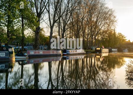 Barche strette sul fiume tamigi ormeggiate vicino al porto turistico di Lechlade all'alba in primavera. Lechlade sul Tamigi, Cotswolds, Gloucestershire, Inghilterra Foto Stock