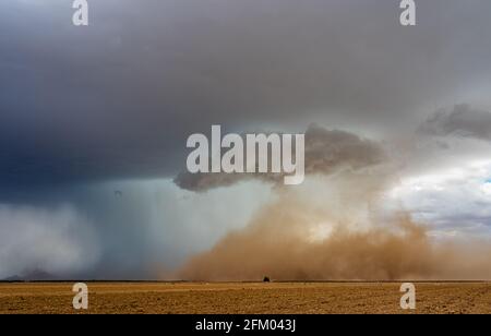 Tempesta di polvere che si forma su un campo agricolo Foto Stock