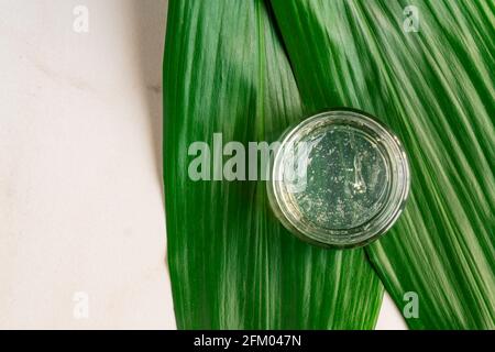 Gel con bolle in un vasetto trasparente su foglie verdi tropicali. Prodotto idratante per la pelle con ingredienti naturali organici. Pelle cosmetica femminile Foto Stock